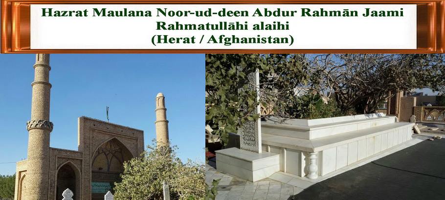 49283467_1475194885948364_7155645940131430400_n