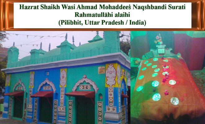 49938673_1481998845267968_1303612433641766912_n