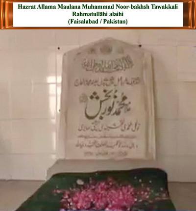 50783000_1486913264776526_8819915363257942016_n