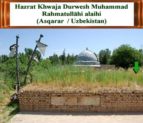 42908355_1404519849682535_1947792150049587200_n