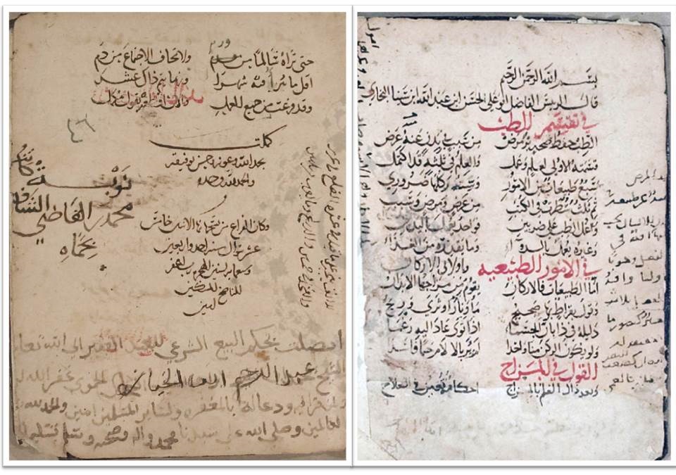 avicenna_medical_poem_figure_01_0