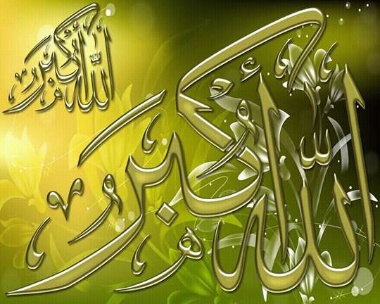 FB_IMG_14654817027451854