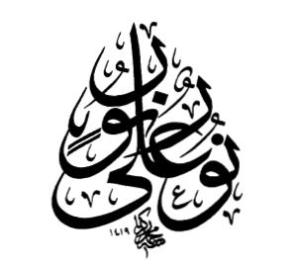 light-upon-light-mohamed-zakhariah