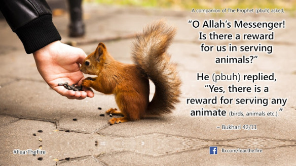 reward-in-serving-animals