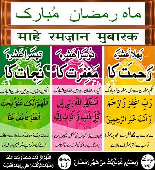 32682513_1274388519362336_1744804178800148480_n