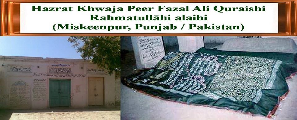 32792365_1275517569249431_3138540264855961600_o