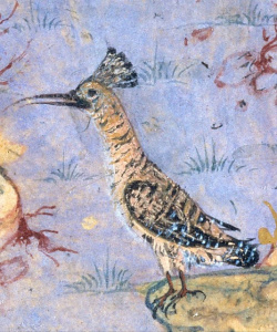 ca247d8add96f3e3193f29f3c3035fff