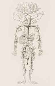 cowperhoriz4-e1579608257731