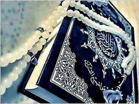 385392_182256695240173_2046948954_n