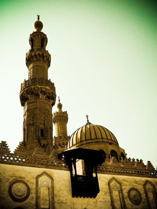 431531_318018134928384_660024329_n