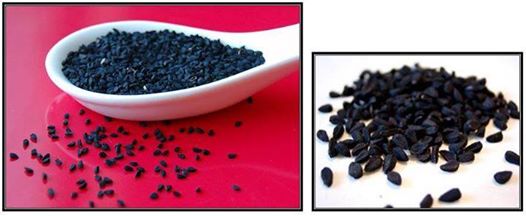 1743584_284658725018017_1024356451_n