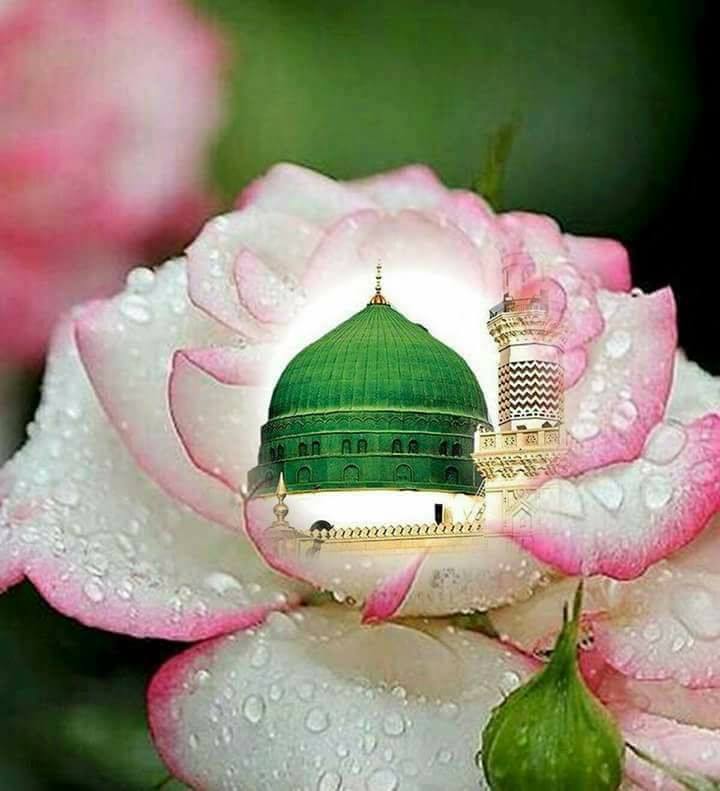 20228709_1087227311411792_7785194244238692234_n