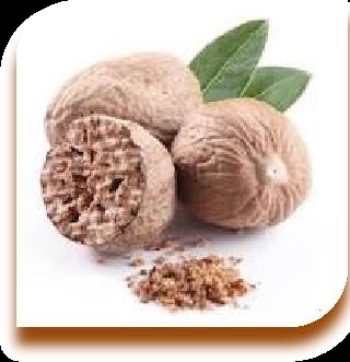 nutmeg