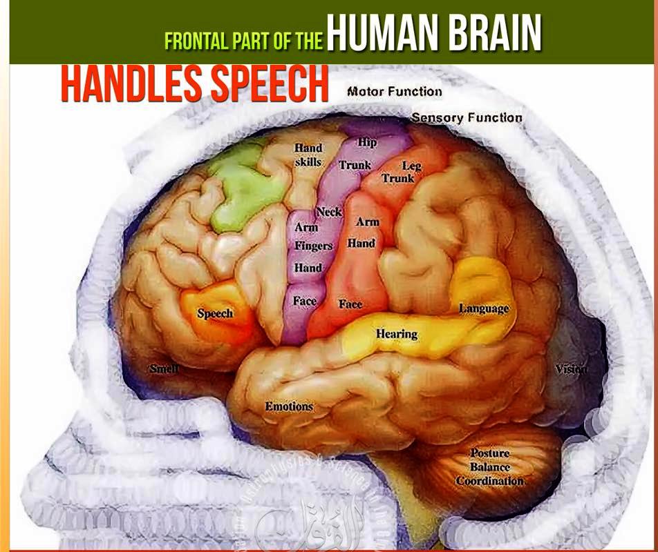 52670789_1731278526973149_4901726710409461760_n