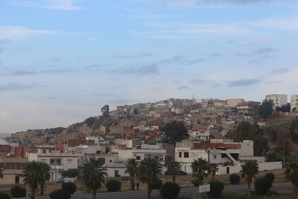 Saida_manoubia_,_Tunis_pic1 (1)