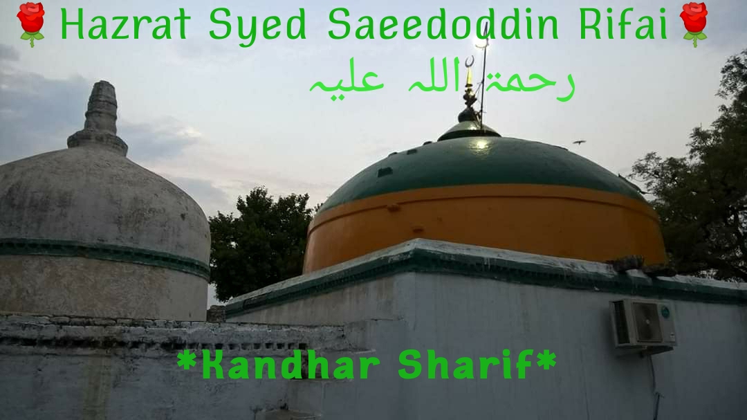 a882311d-270c-4cc4-8237-f7b74faf987f