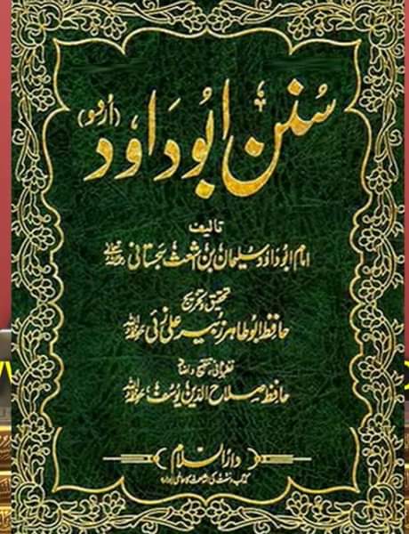 76689007_2458698434228037_4136724160896303104_n