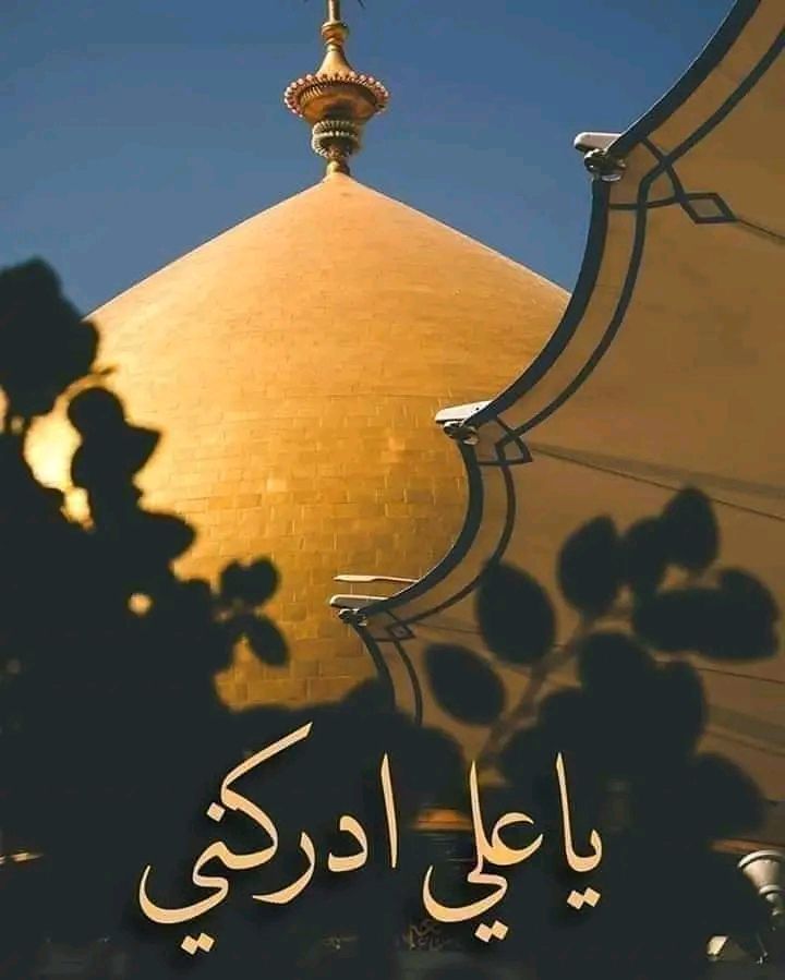 wp-17109021211601242732896793337297