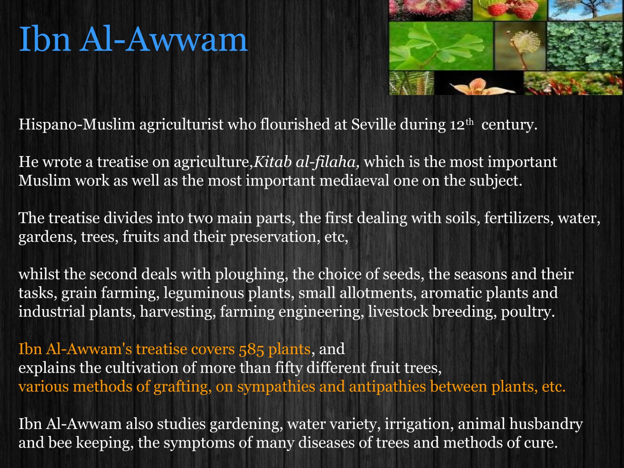 Ibn Al-Awwam – Aal-e-Qutub Aal-e-Syed Abdullah Shah Ghazi